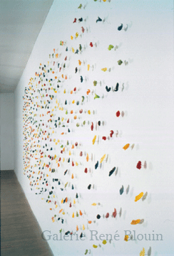 Sarah Stevenson, Colour Wall, 2003 (exposition Galerie René Blouin, 10 avril - 15 mai 2004)