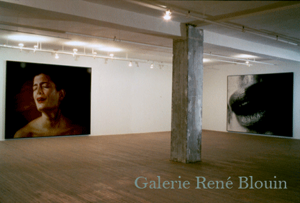 Geneviève Cadieux, Galerie René Blouin, Installation: 27 avril - 27 mai 1989