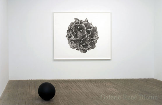 Geneviève Cadieux, Fleur exquise (2006), impression à jet d'encre sur papier chiffon, 146 x 184,1 cm Là (2007), bois, 38,1 cm de diamètre, 17 février 2007 - 31 mars 2007