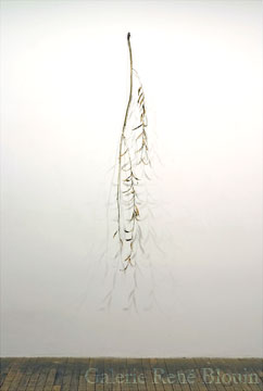 Geneviève Cadieux, Seule (branche), bronze, 167,8 x 22,9 x 24,1 cm , 2007, 17 février 2007 - 31 mars 2007