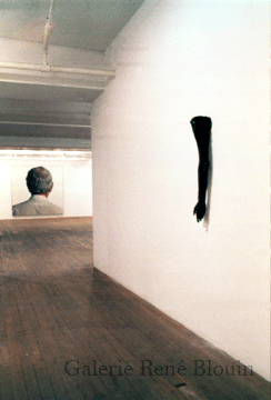 Geneviève Cadieux, vue d'installation, 2 octobre - 13 novembre 1993