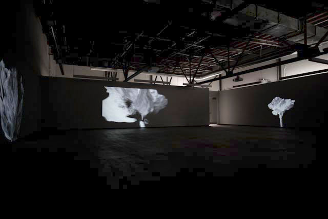 Pascal Grandmaison : Projections, Vue de l’exposition (2011) Photo: Richard-Max Tremblay