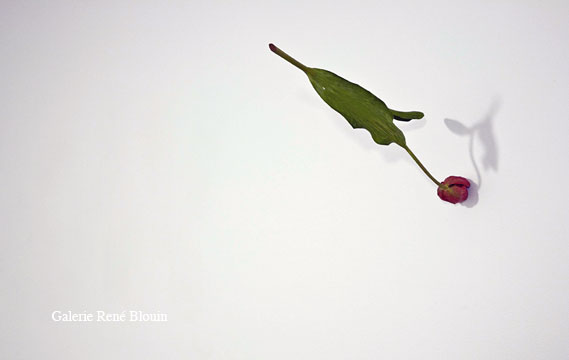 Tulip, 2001 (fleur en bouton) bois peint dimensions variables selon le lieu, Yoshihiro Suda, Vue de l’exposition (2009) Photo: Richard-Max Tremblay