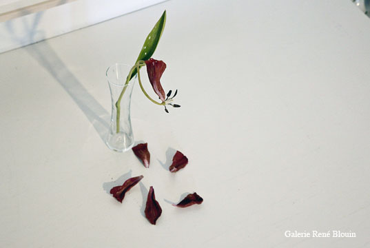 Tulip, 2001 (fleur en vase), bois peint dimensions variables selon le lieu, Yoshihiro Suda, Vue de l’exposition (2009) Photo: Richard-Max Tremblay