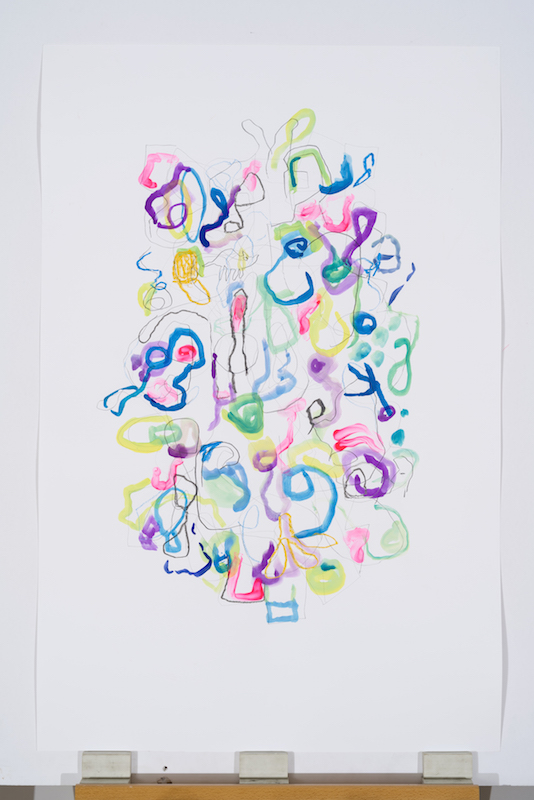 Serge Murphy, Feuillages 4, 2016, Graphite, encre et pastel sur papier, 40 x 26 pouces