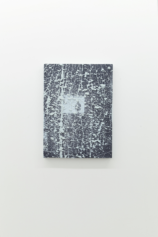 Nicolas Lachance, Le reformateur, 2018, ciment de gypse, bois et encre, moulage et sérigraphie, 81 x 56 cm / 31,8 x 22 pouces.